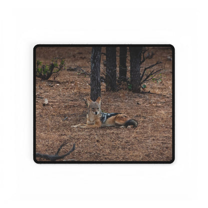 Desk Mats - Black Backed Jackal