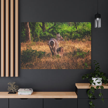 Waterbuck Nature Prints Matte Canvas