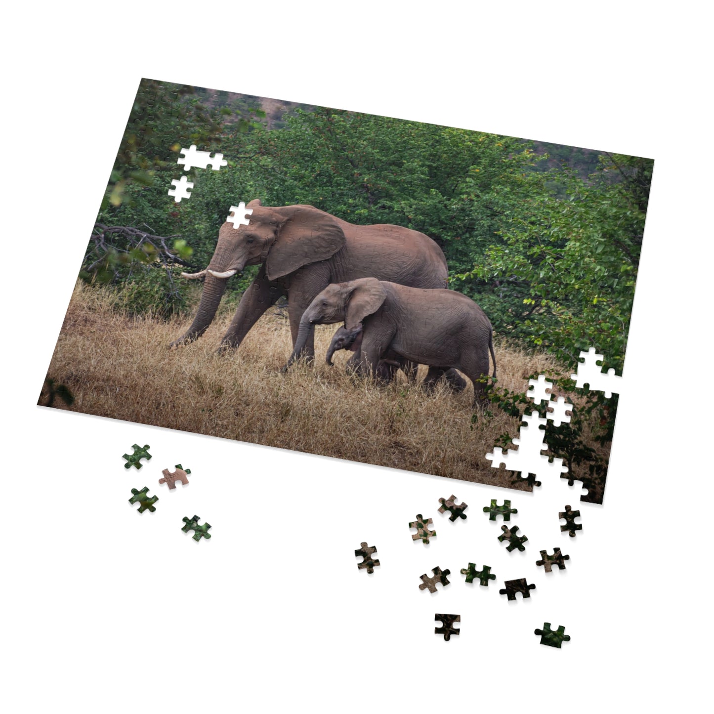 Jigsaw Puzzle (30, 110, 252, 500, 1000 Piece) - Elephant Family