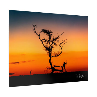 Rolled Posters - Sunset over the Kalahari