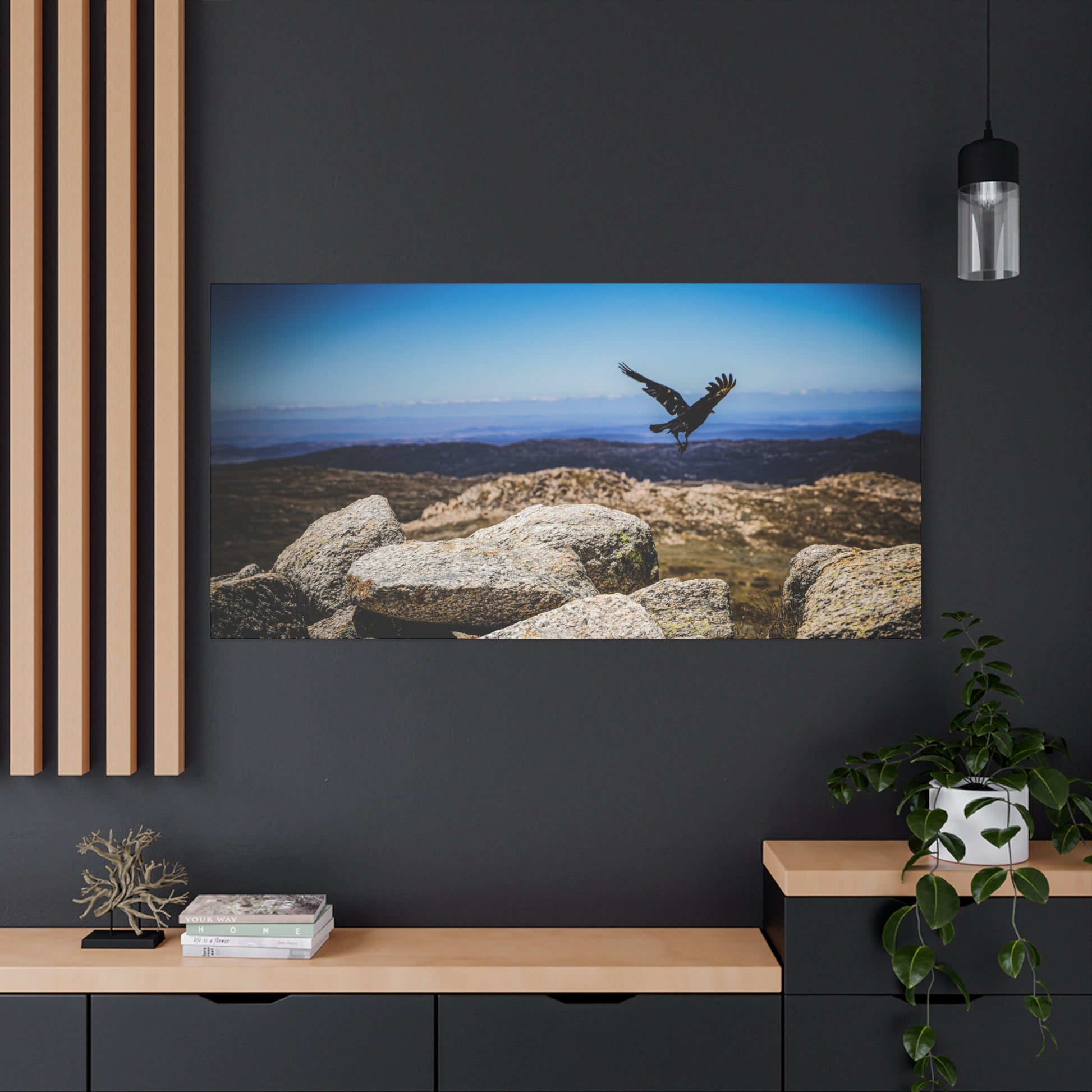 Little Raven Mt Kosciuszko Canvas Print