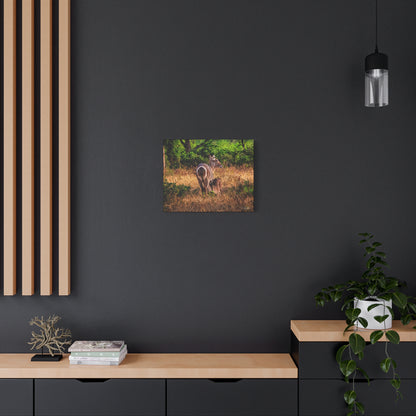 Waterbuck Nature Prints Matte Canvas