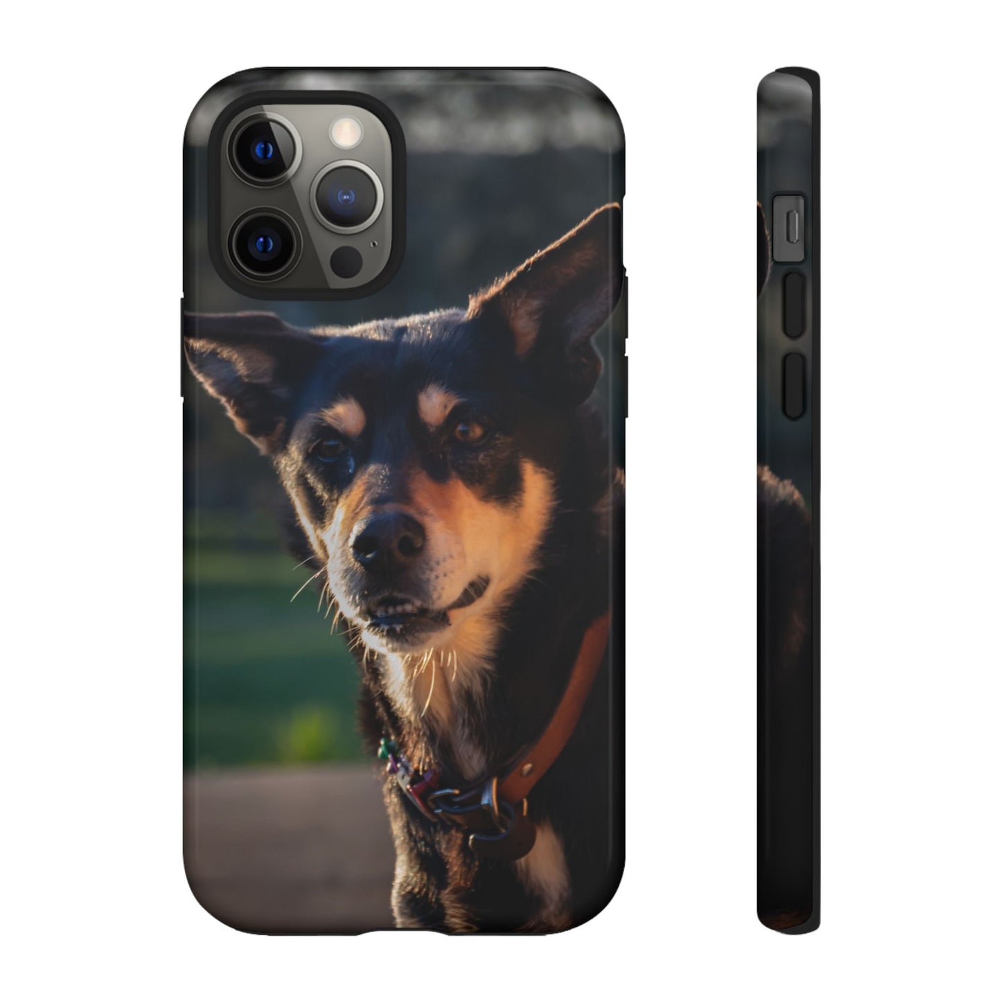 Tough Case - Saba the Kelpie iPhone 12 Pro Glossy