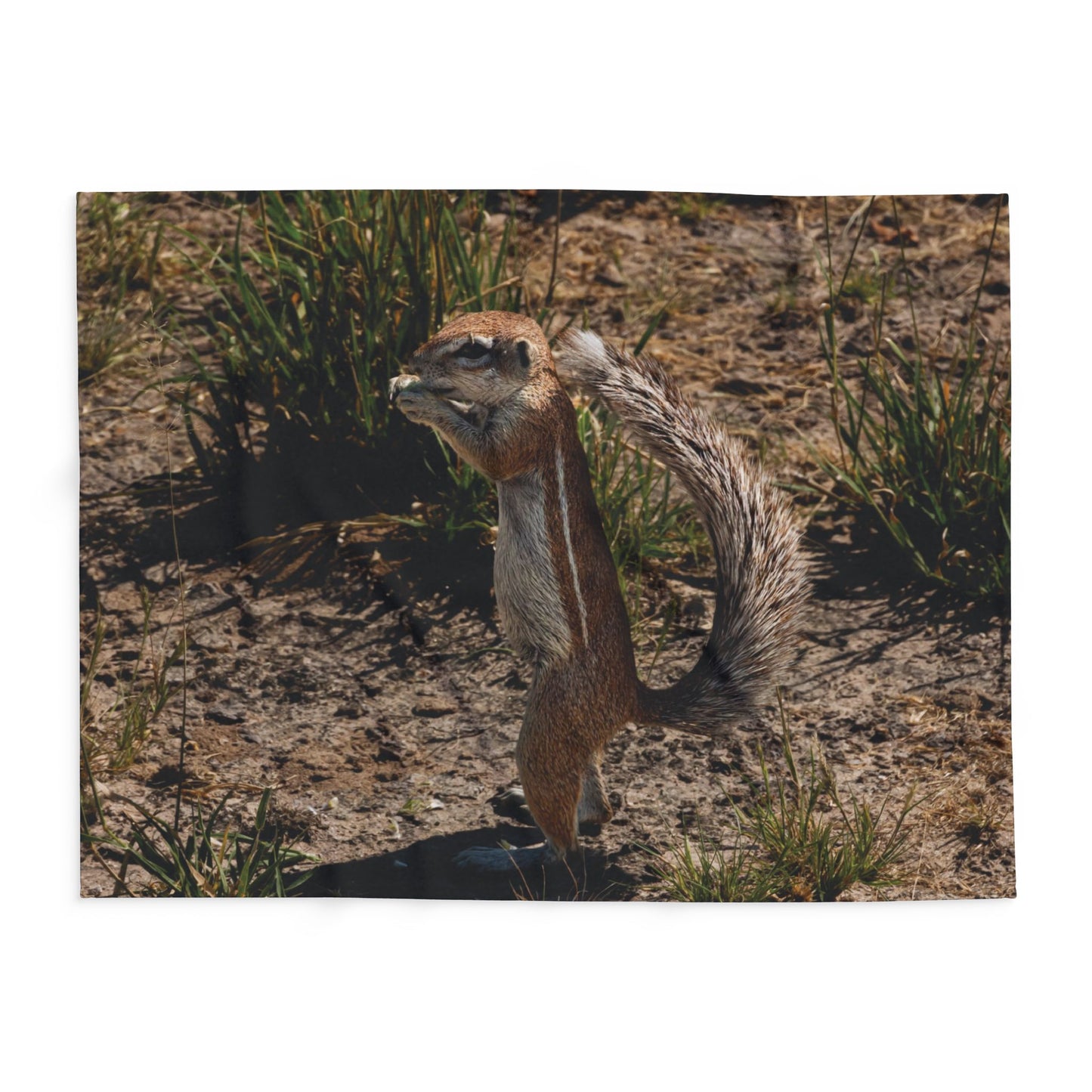 Arctic Fleece Blanket - Ground Squirrel