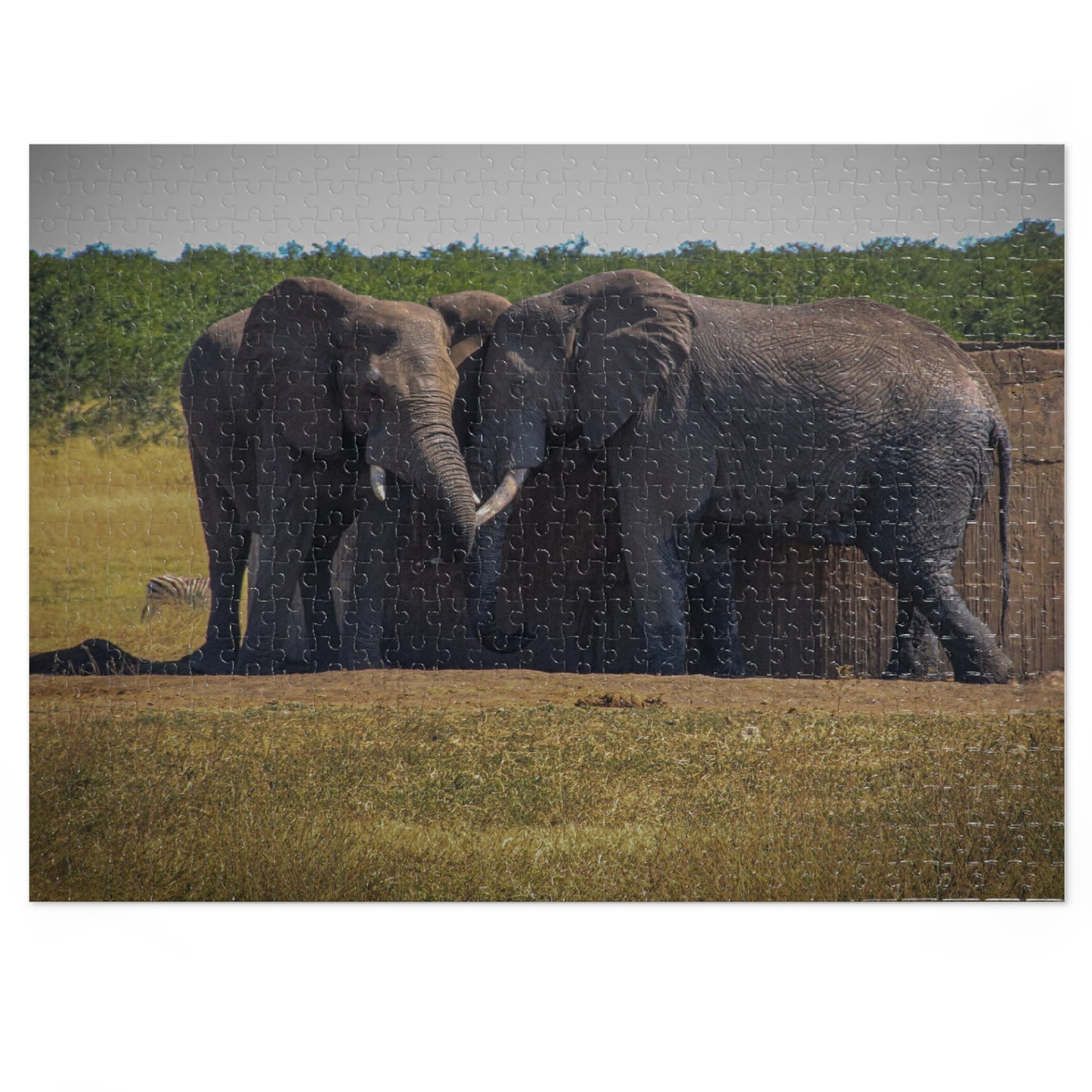 Jigsaw Puzzle (30, 110, 252, 500 Piece) - Elephant Friends