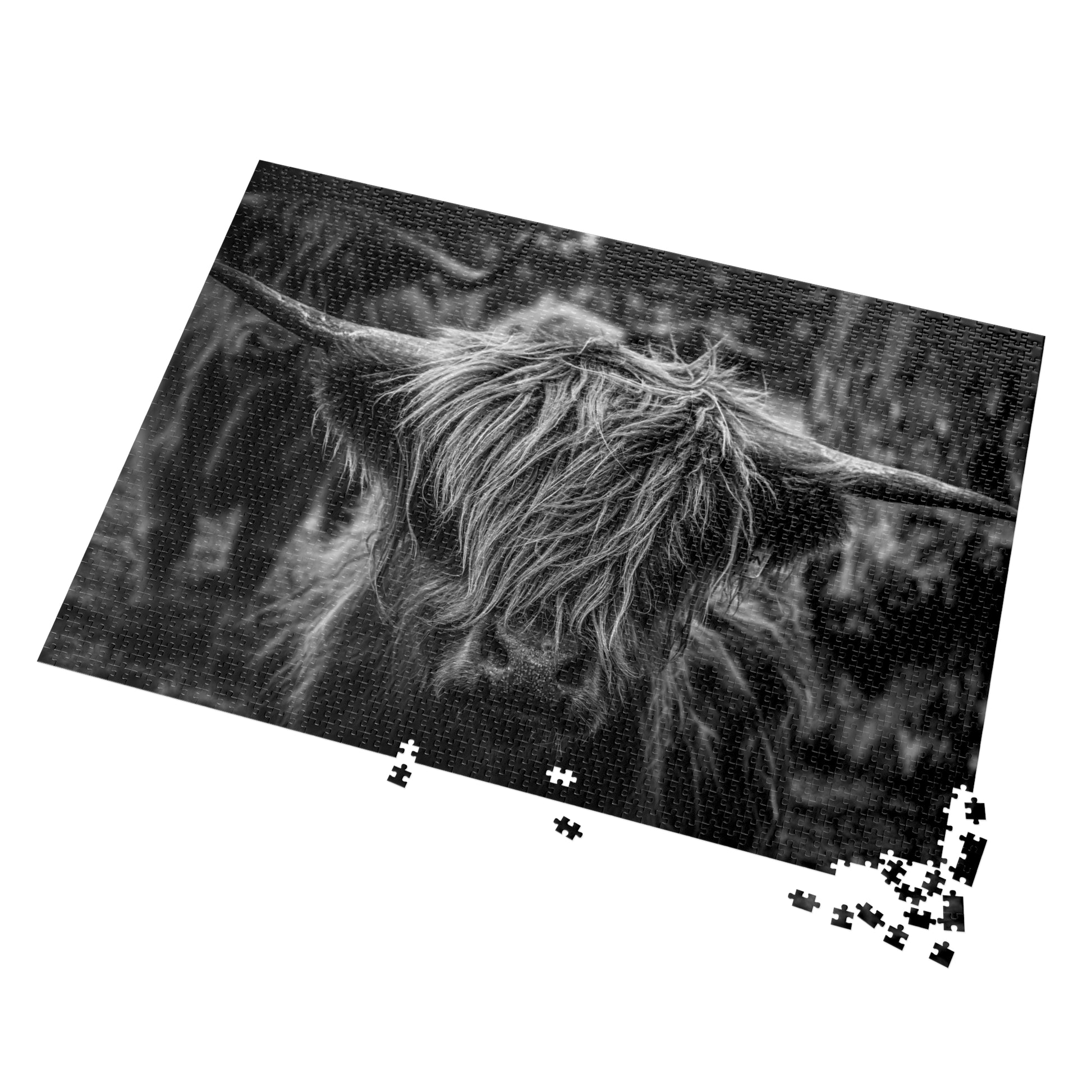 Scottish Highland Cattle Puzzle with Tin B&W