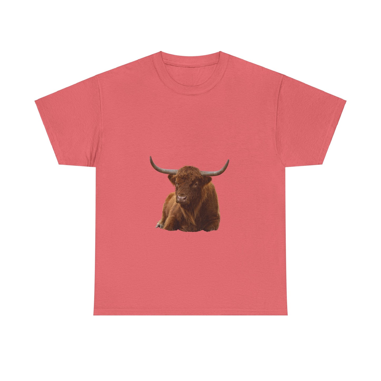 Highland Cattle Tee Coral Silk