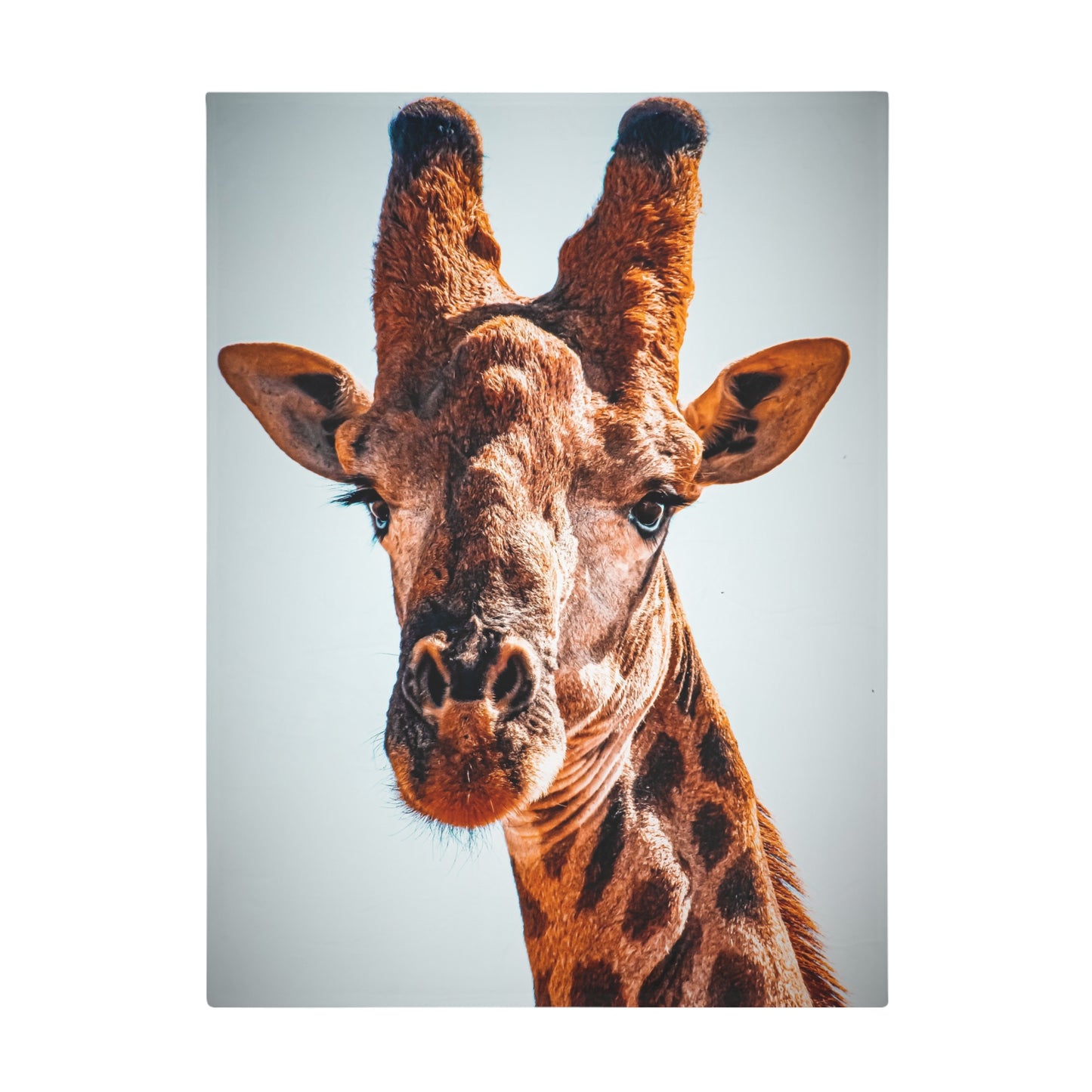 Portrait of Giraffe Fleece Blanket 60" × 80"