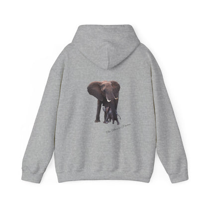 Baby Elephant Hoodie