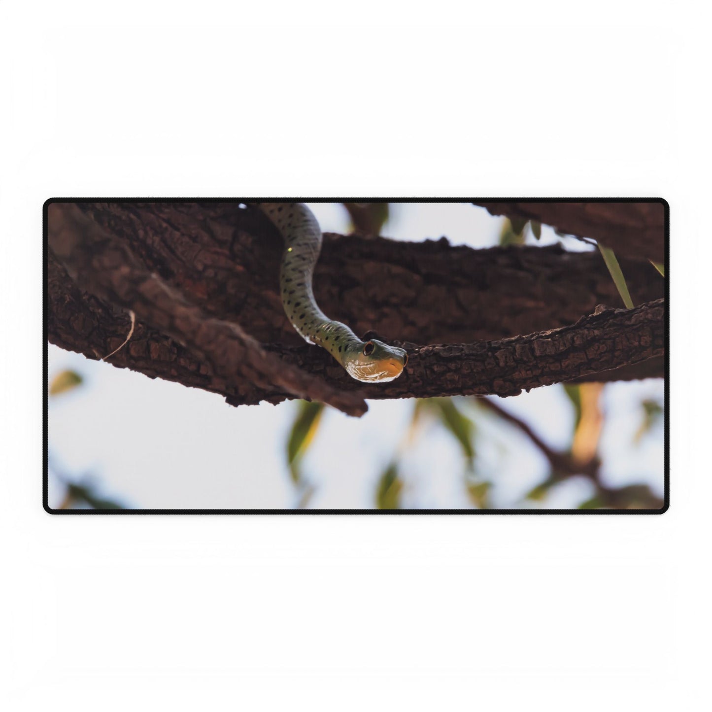 Desk Mats - Spotted Bush Snake