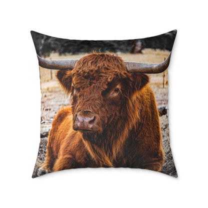 Highland Cattle Pillow 26" × 26"