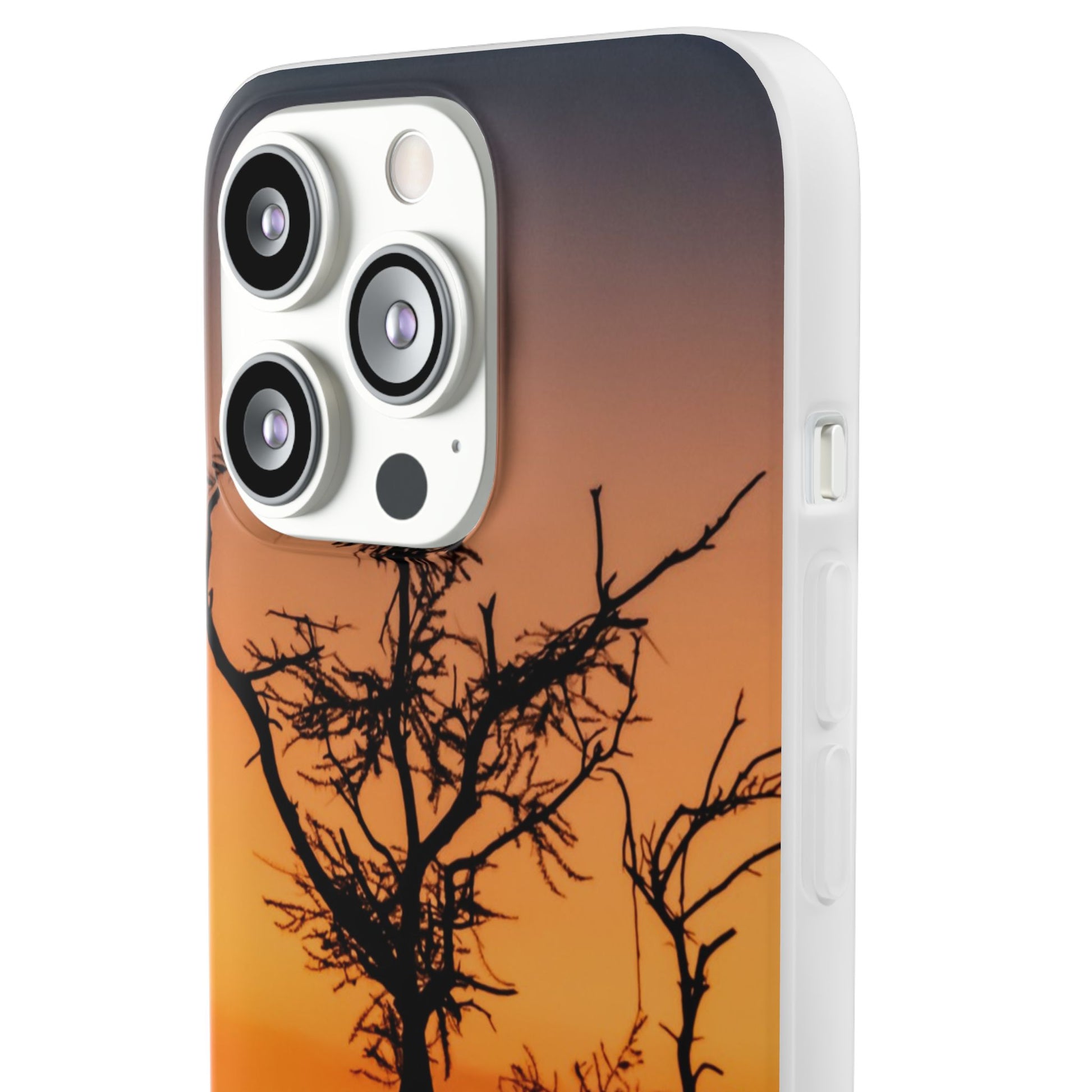 Kalahari Sunset Phone Case