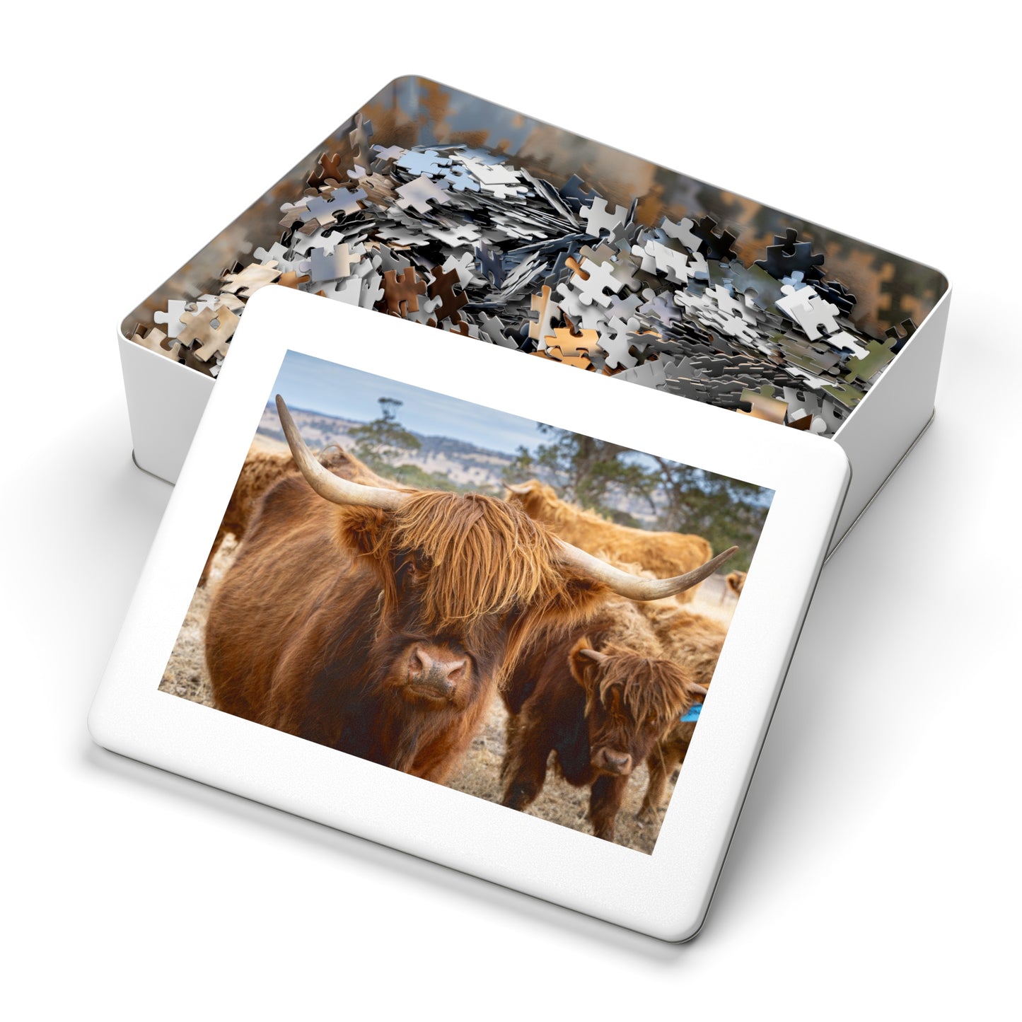 Scottish Highland Cattle Puzzle with Tin