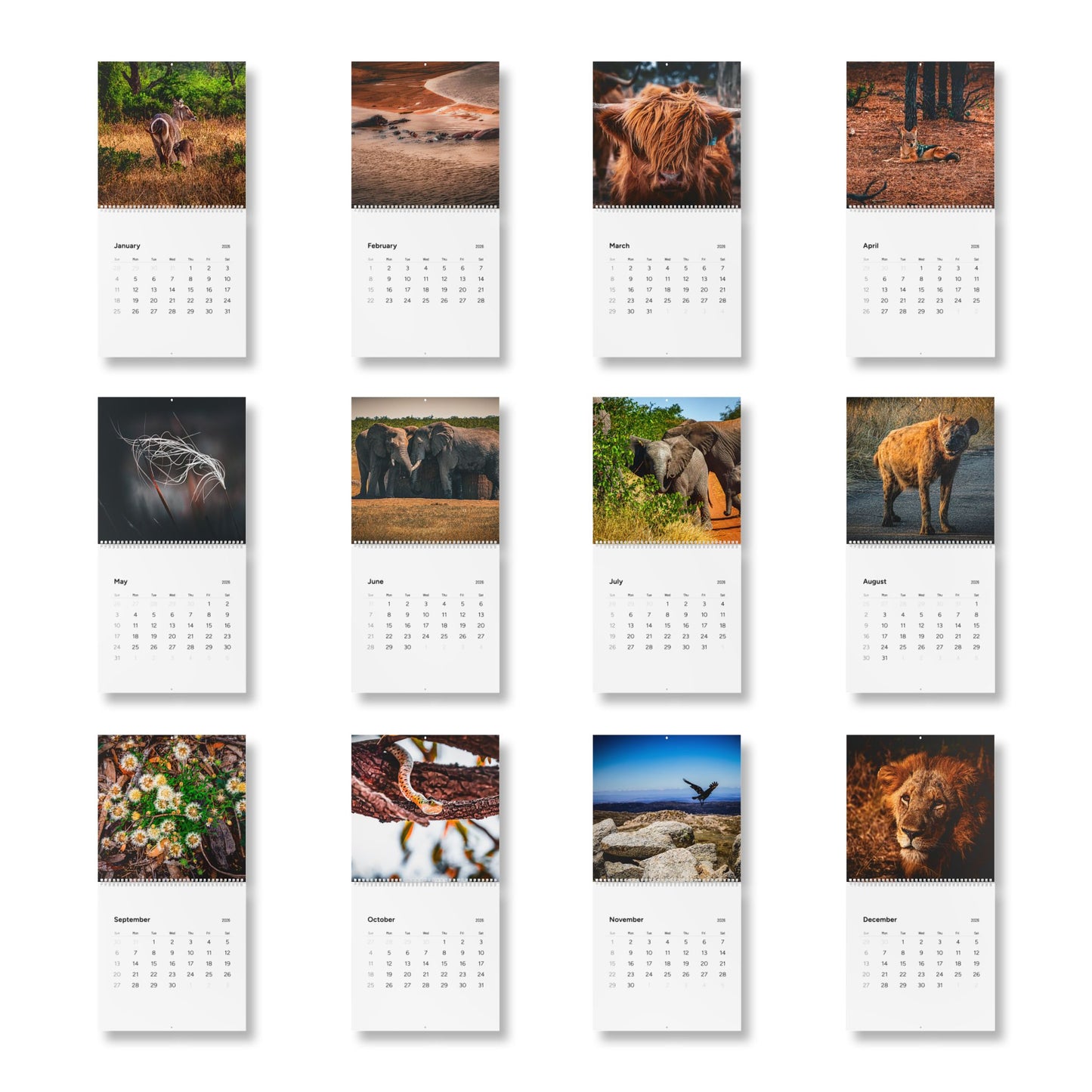 2026 Nature Wildlife Wall Calendar