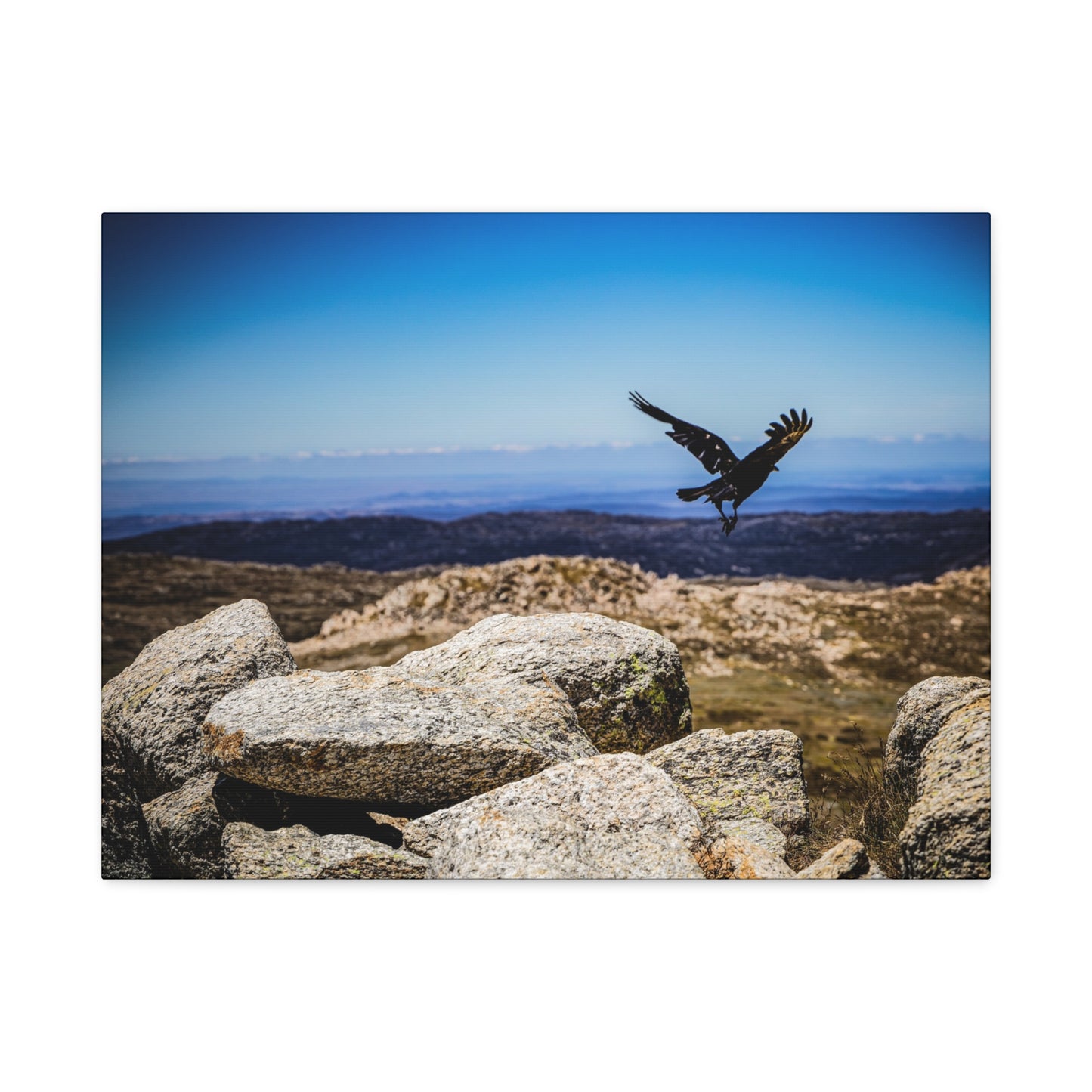 Little Raven Mt Kosciuszko Canvas Print 24″ x 18″ (Horizontal) 1.25"