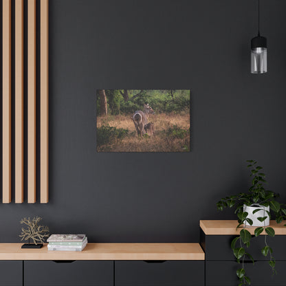 Matte Canvas, Stretched, 1.25" - Waterbuck and Baby