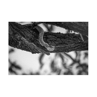 Spotted Bush Snake Puzzle B&W