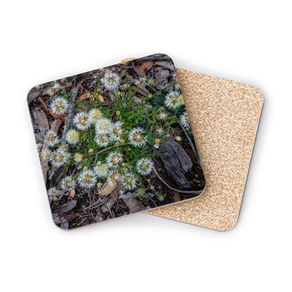 Australian Wildflower Coasters Square 3.7" x 3.7" 1pc