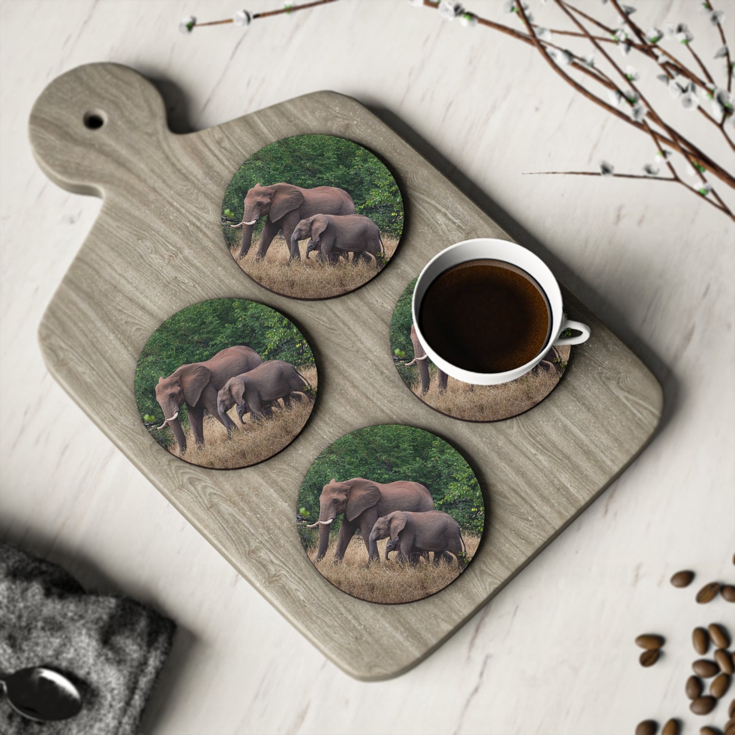 Family of Elephants Coasters