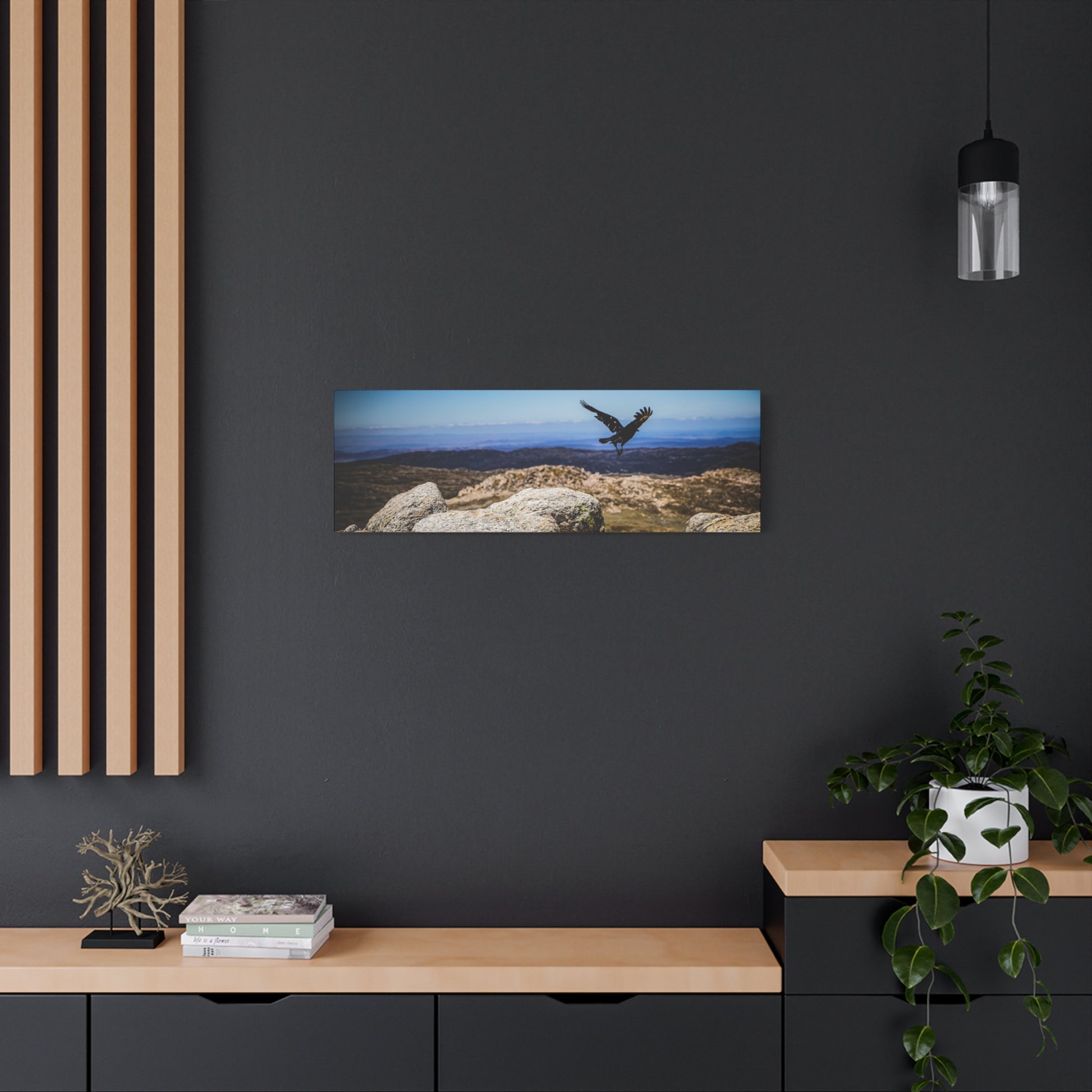 Little Raven Mt Kosciuszko Canvas Print