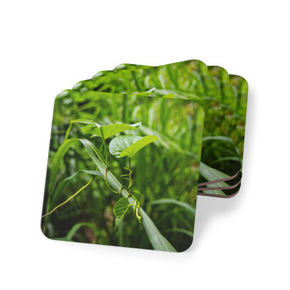 Fiji Vine Coasters Square 3.7" x 3.7" 4pcs