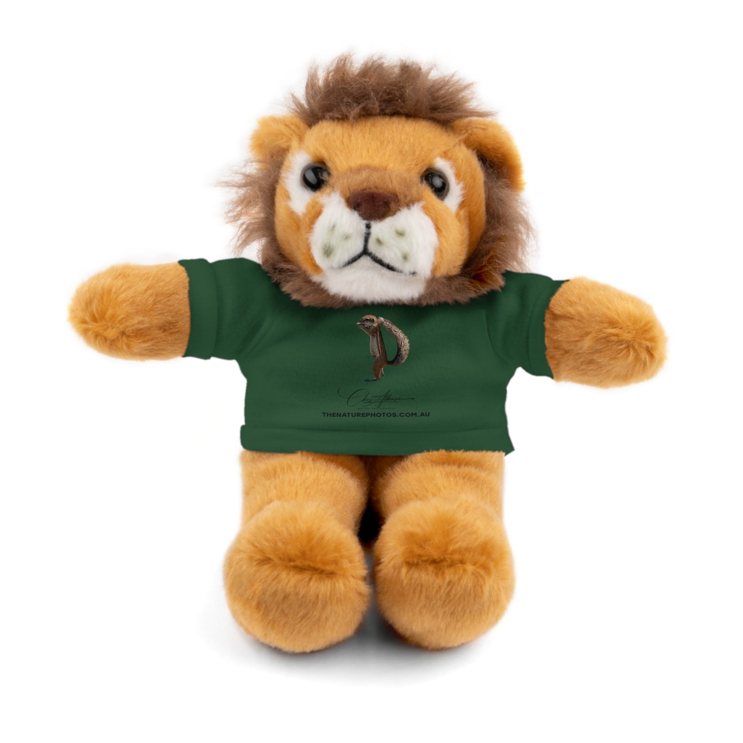 Teddy Lion with Tee