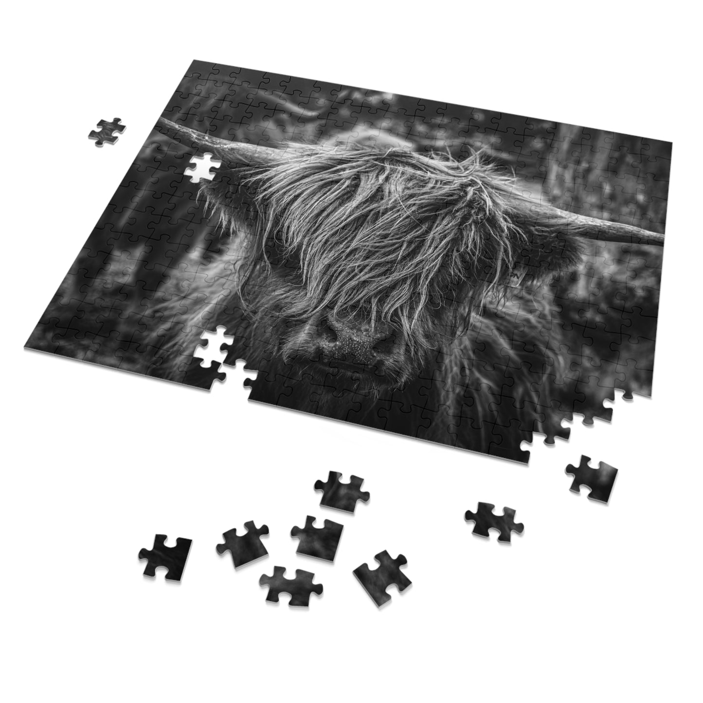 Scottish Highland Cattle Puzzle with Tin B&W