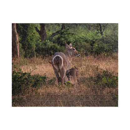 Puzzle (110, 252, 520, 1014-piece) - Waterbuck and Baby