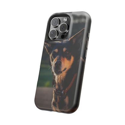 Magsafe® Compatible Tough Cases - Saba The Kelpie