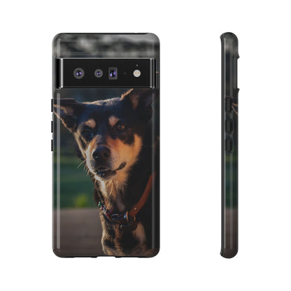 Tough Case - Saba the Kelpie Google Pixel 6 Pro Glossy