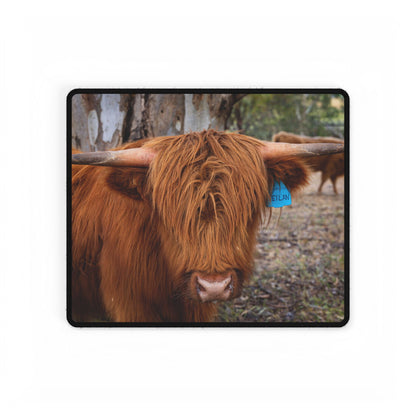 Desk Mats - Scottish Highland Cattle