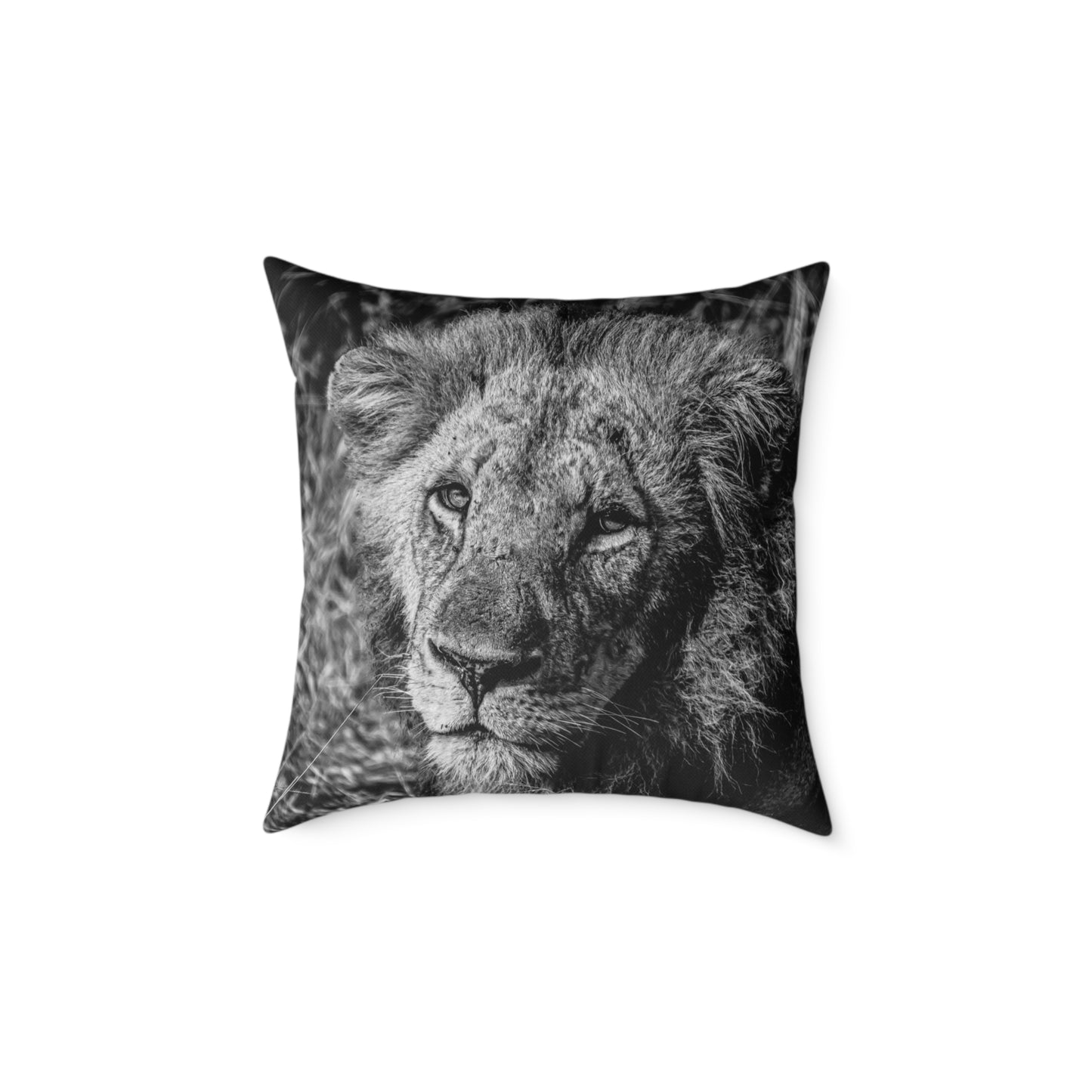 Old Lion Pillow B&W 20" × 20"