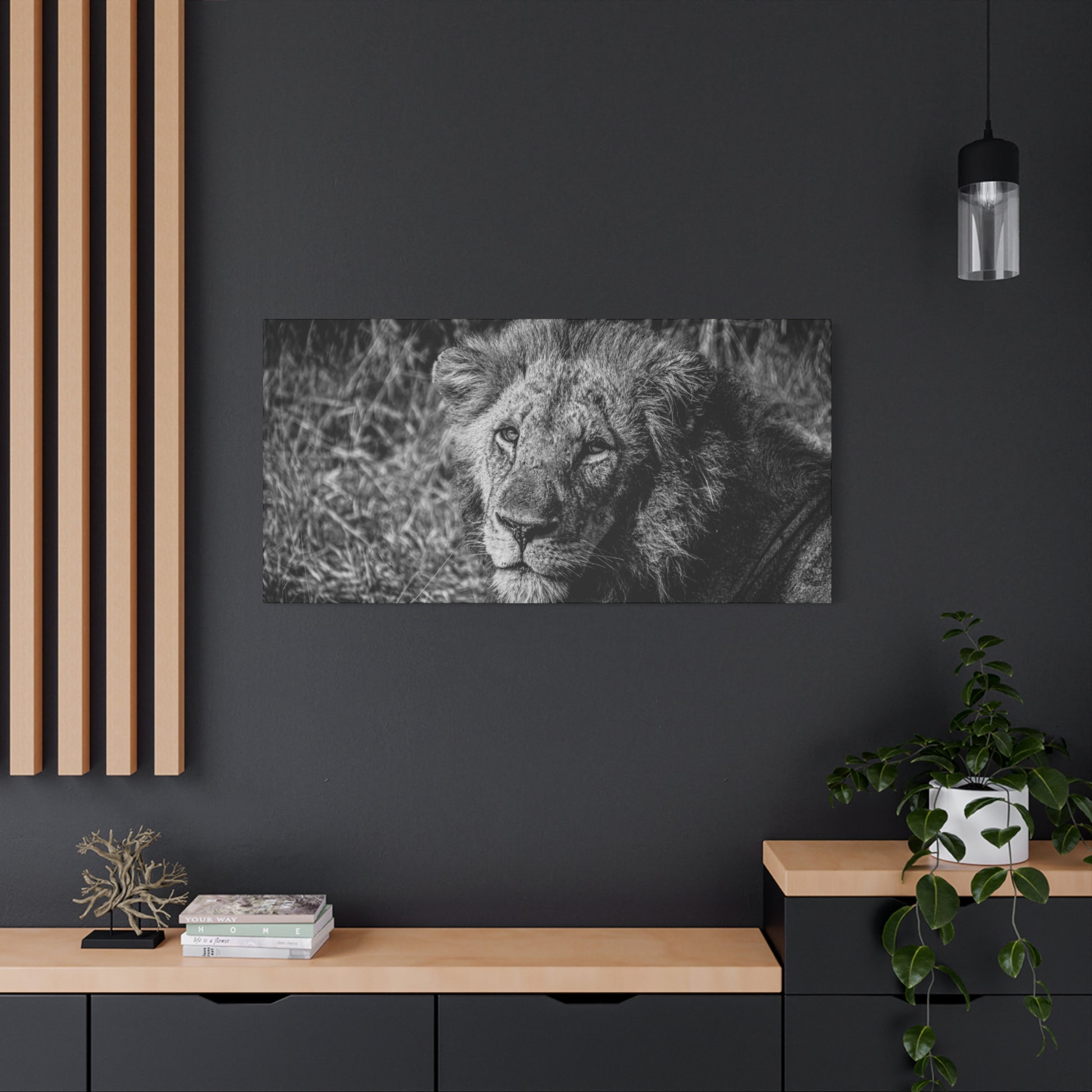 Old Lion Canvas Print B&W