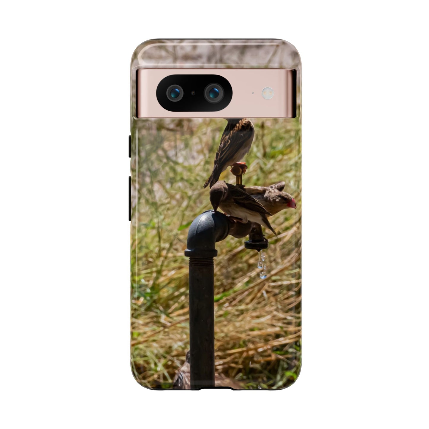 Tough Case - Birds at A Dripping Tap Google Pixel 8 Glossy