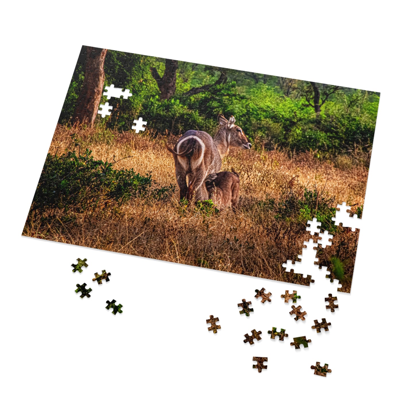 Waterbuck Photo Jigsaw Puzzle with Tin