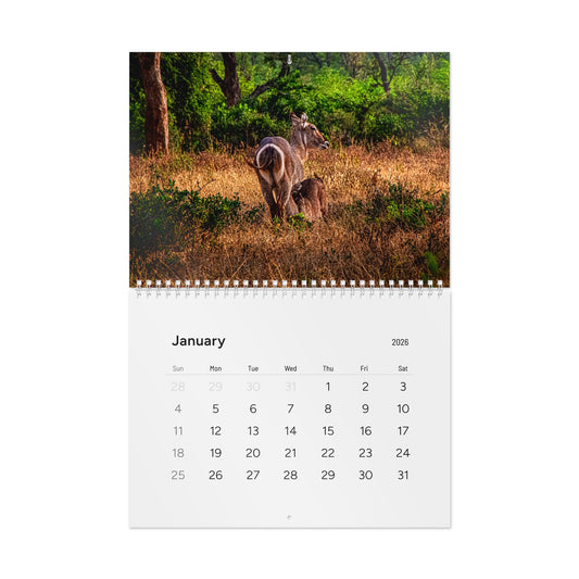 2026 Nature Wildlife Wall Calendar 11" x 8.2" Glossy