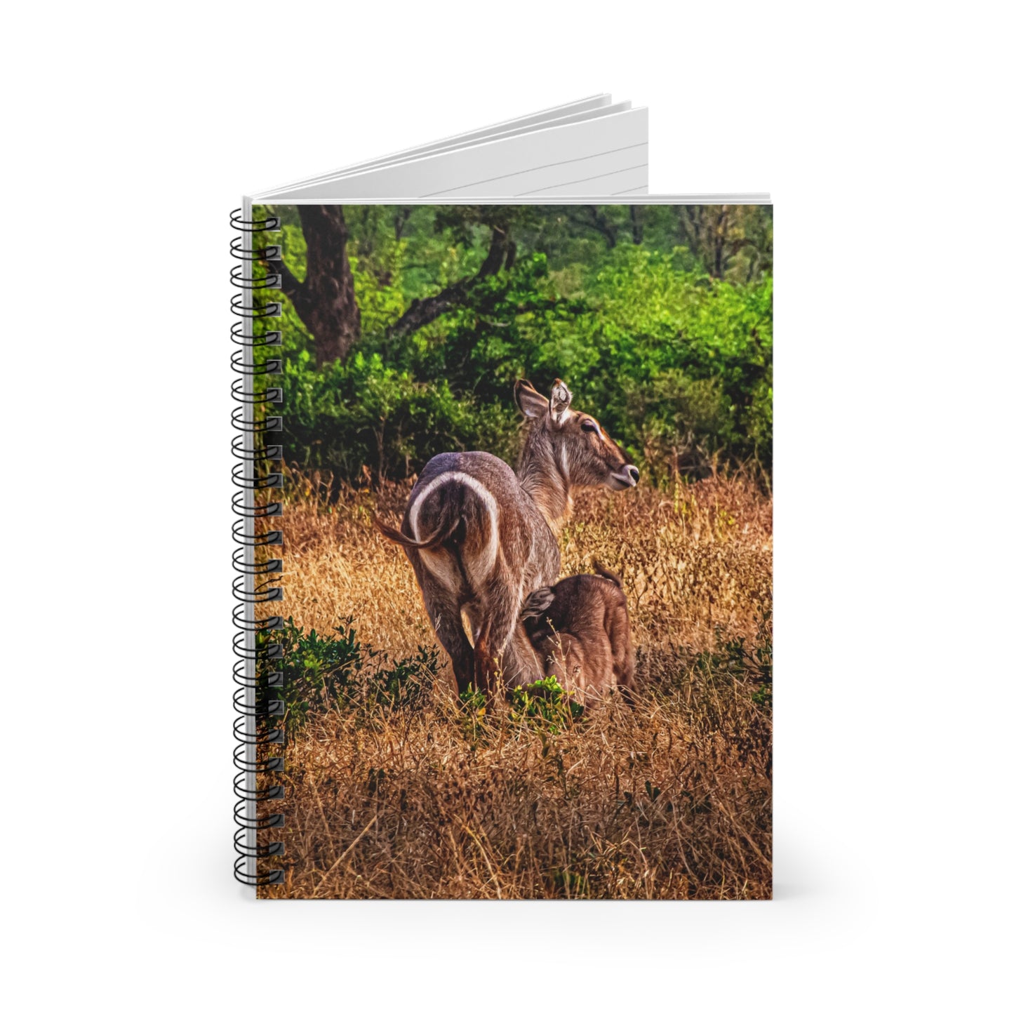 Waterbuck Baby Animal Notebook