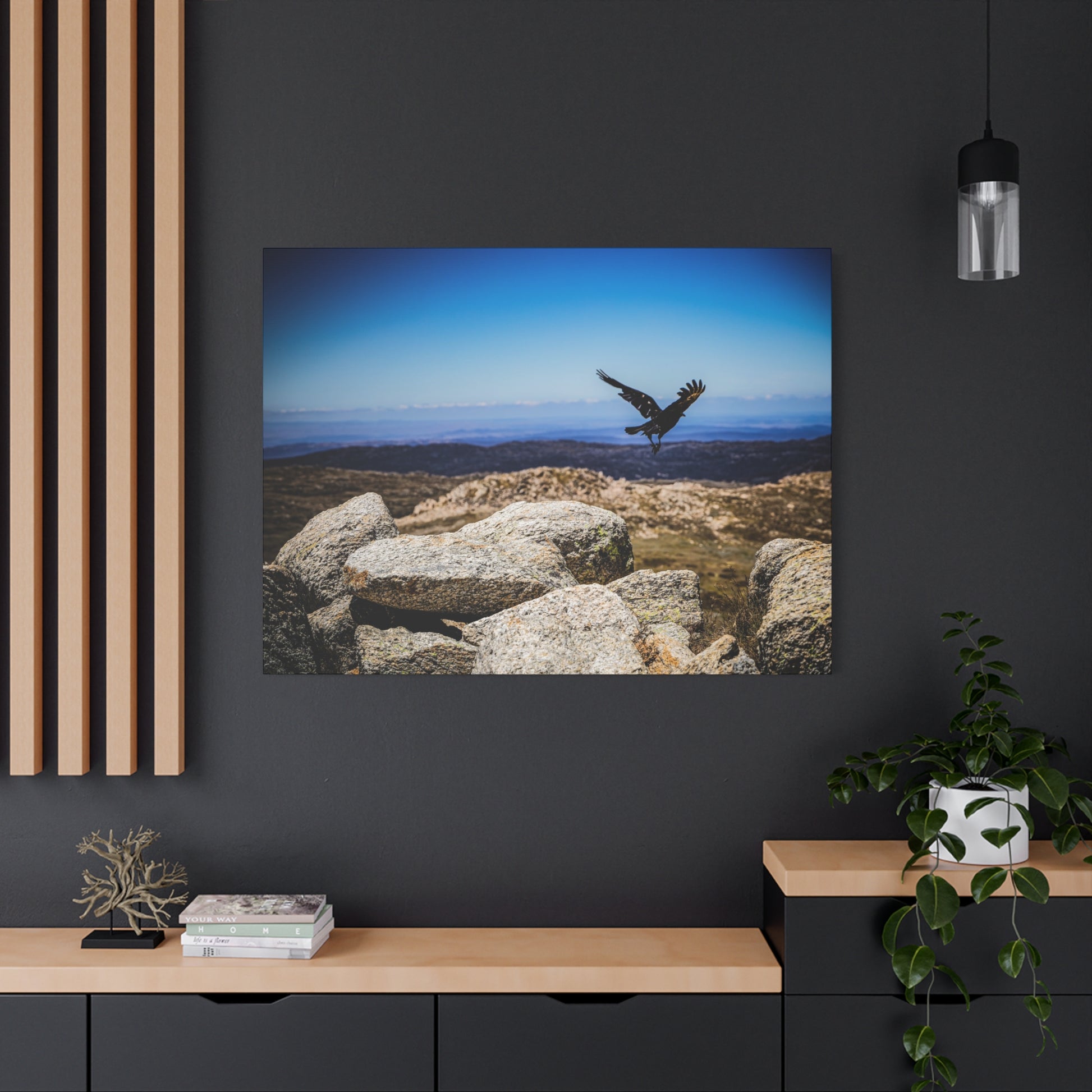 Little Raven Mt Kosciuszko Canvas Print