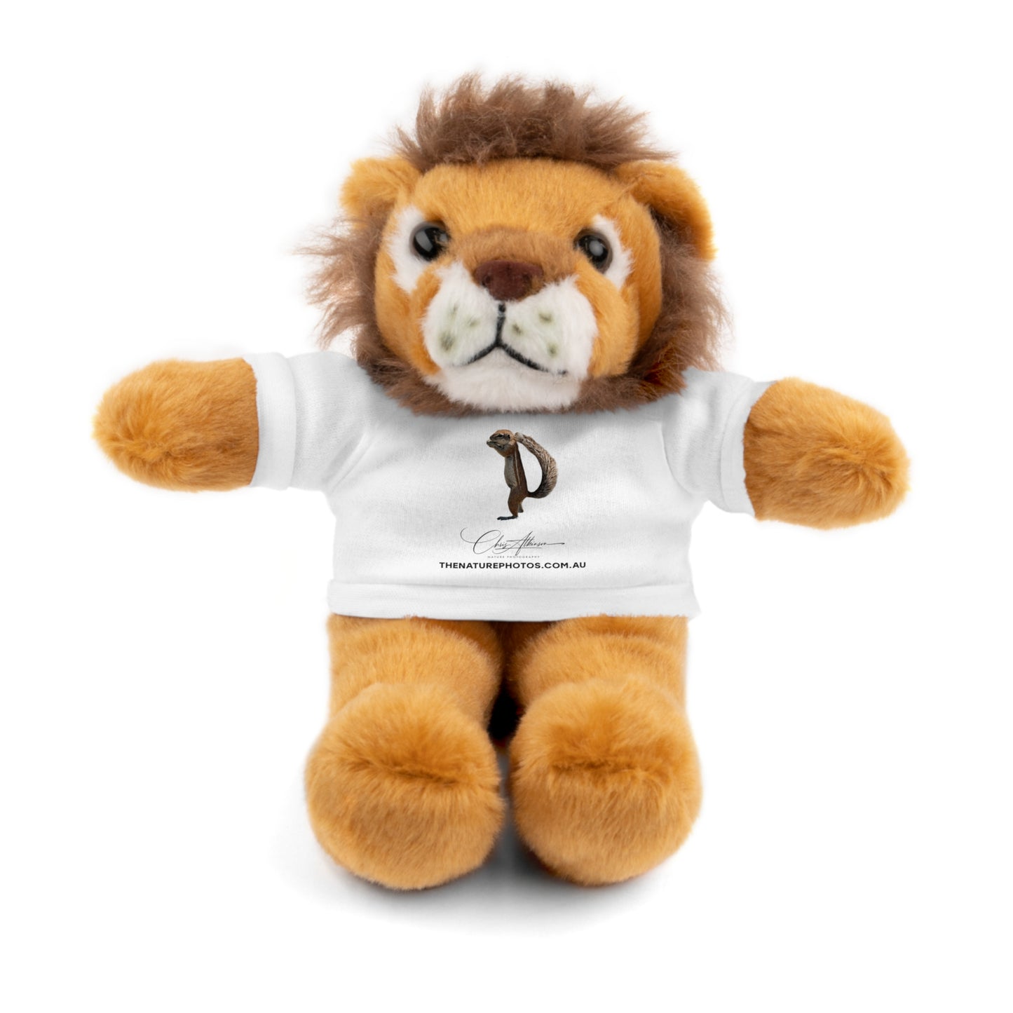 Teddy Lion with Tee