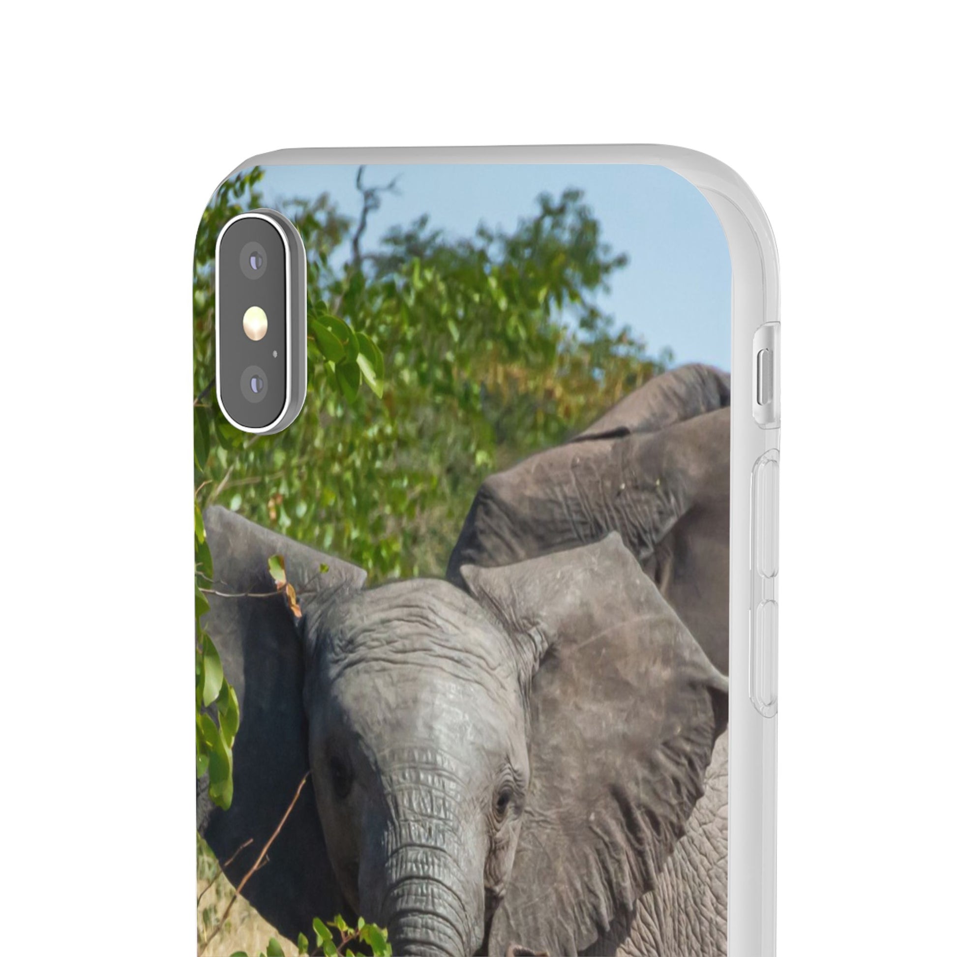 Flexi Cases - Young Elephant