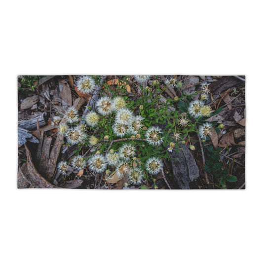 Beach Towels - Australian Wildflower Collection