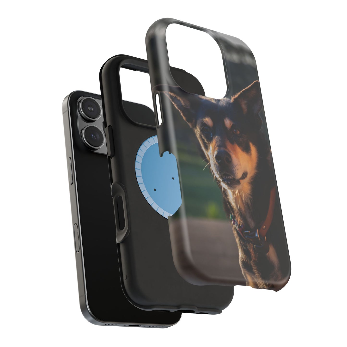 Magsafe® Compatible Tough Cases - Saba The Kelpie