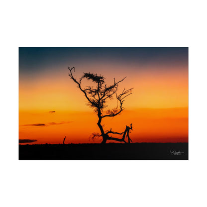 Rolled Posters - Sunset over the Kalahari