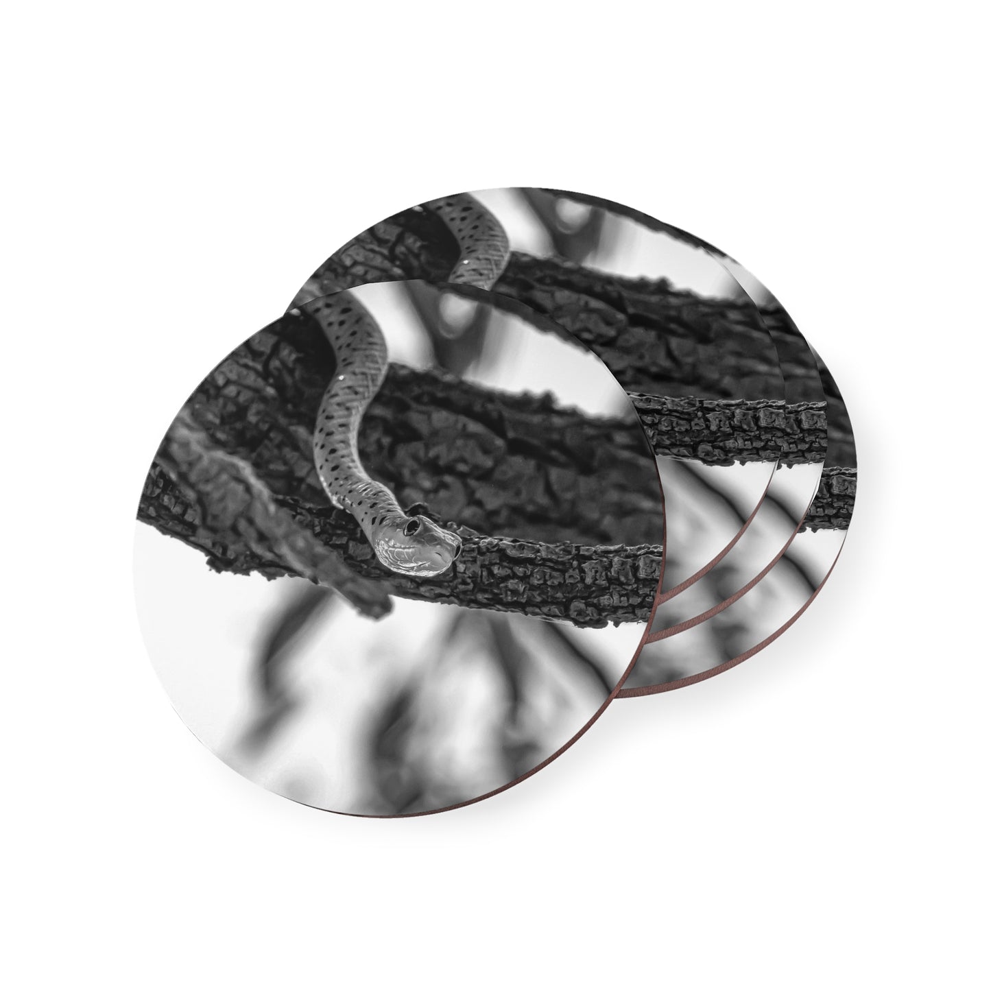 Spotted Bush Snake Coasters B&W Round 3.7" x 3.7" 4pcs