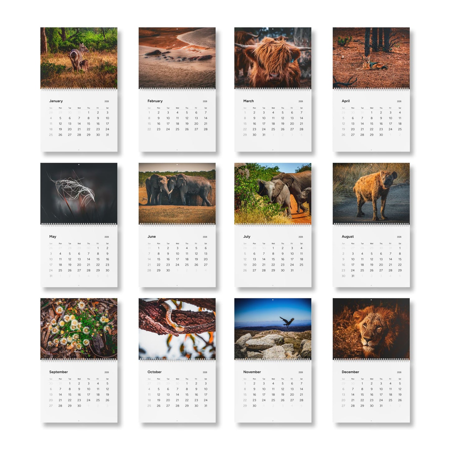 2026 Nature Wildlife Wall Calendar