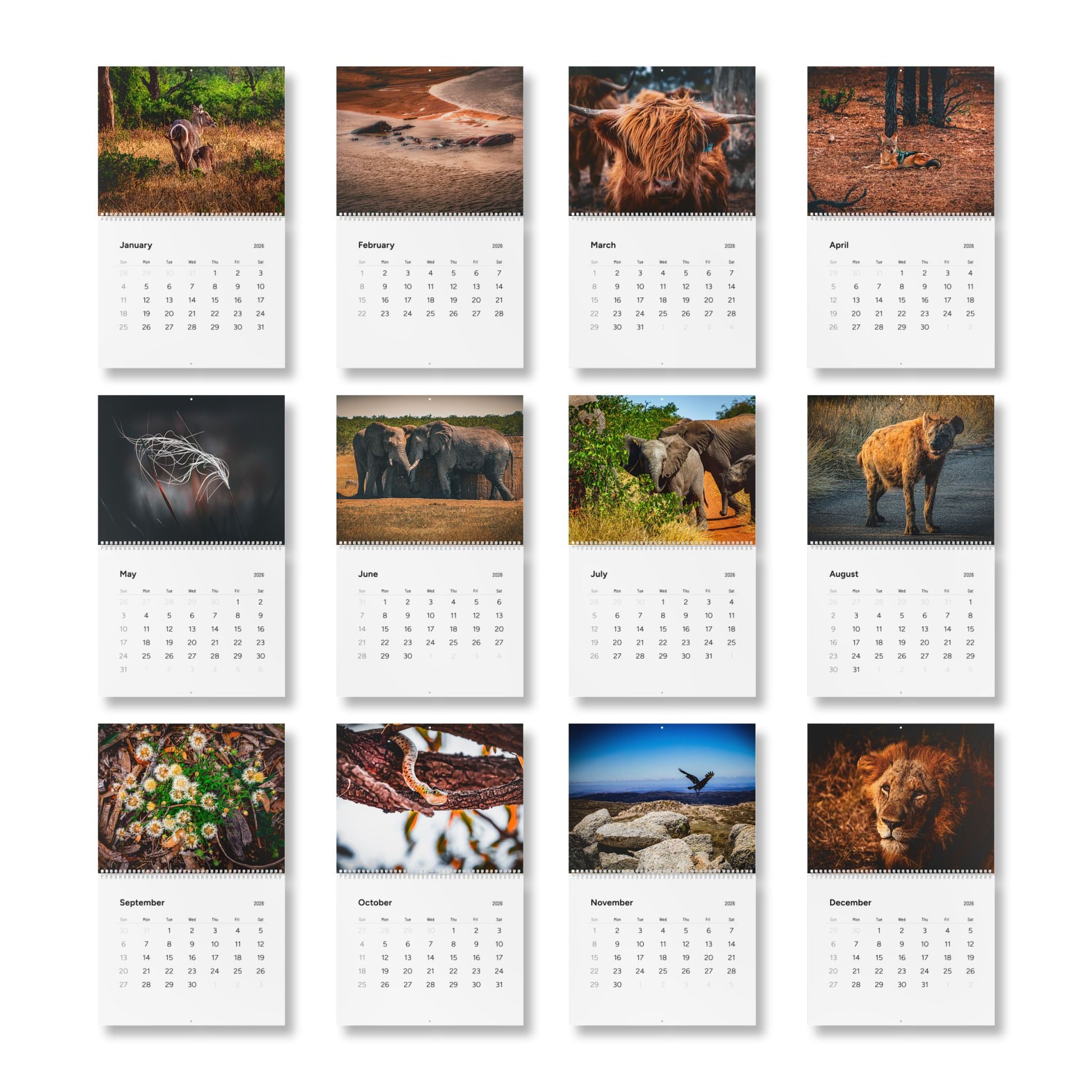 2026 Nature Wildlife Wall Calendar