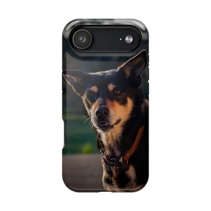 Magsafe® Compatible Tough Cases - Saba The Kelpie iPhone 17 Air Glossy