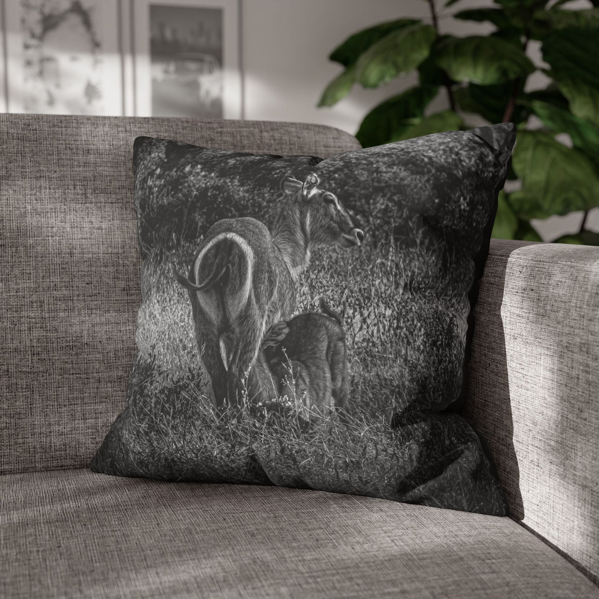 Waterbuck Baby Animal Pillowcase B&W