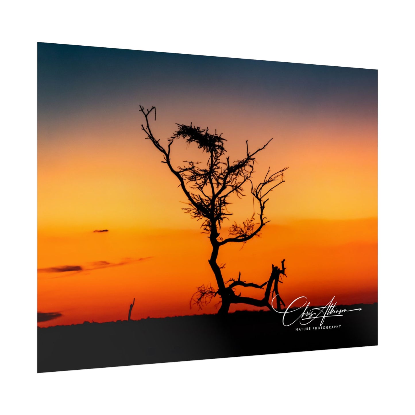 Rolled Posters - Sunset over the Kalahari