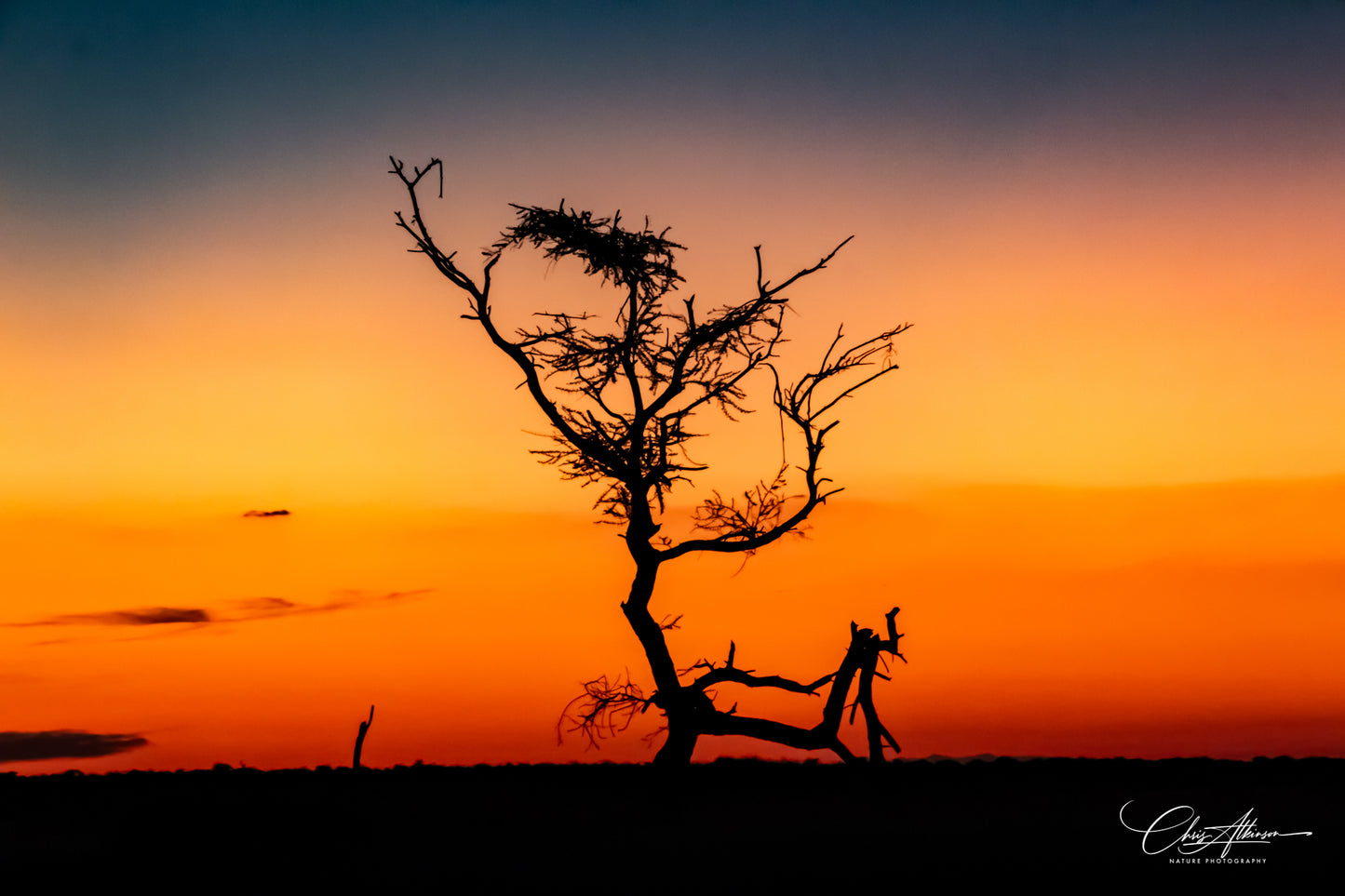 Download - Sunset over the Kalahari